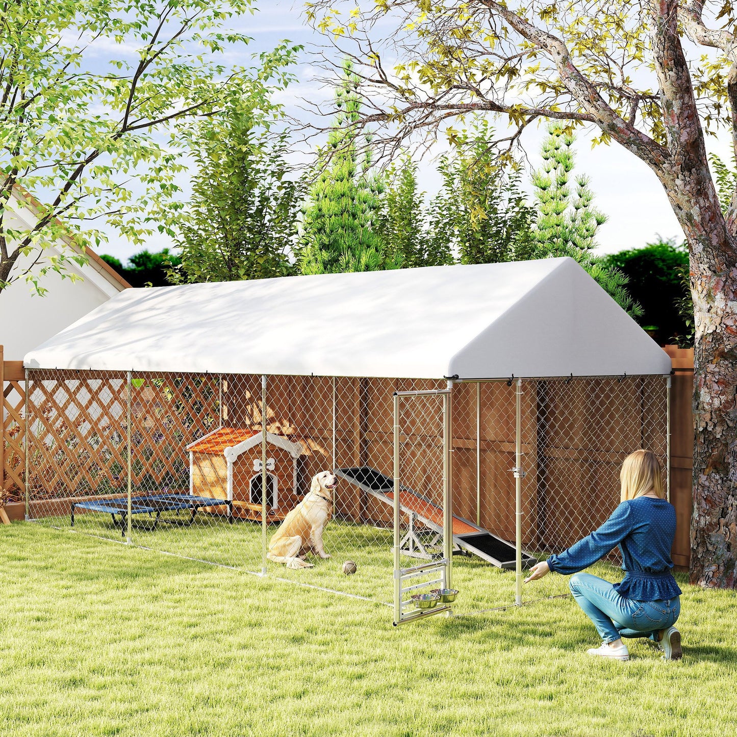 Dog Kennel