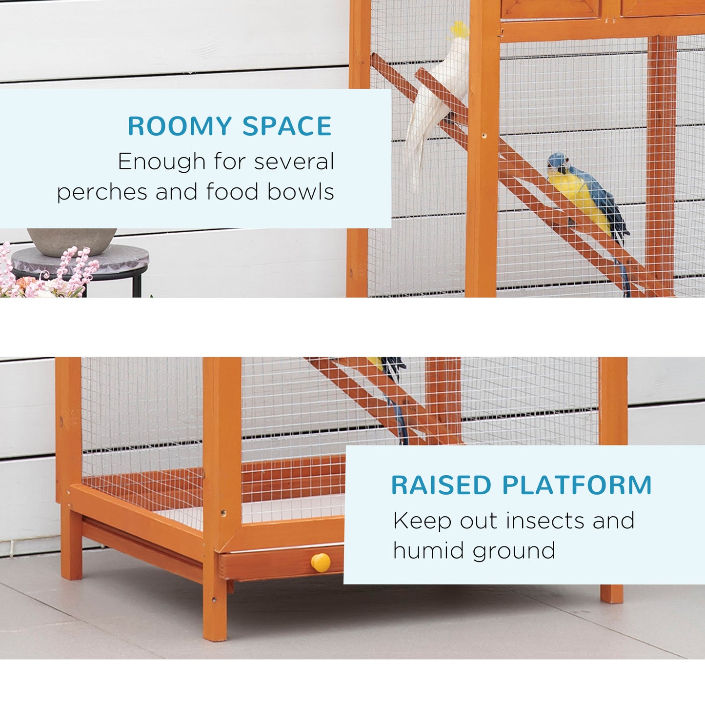 Bird Cage