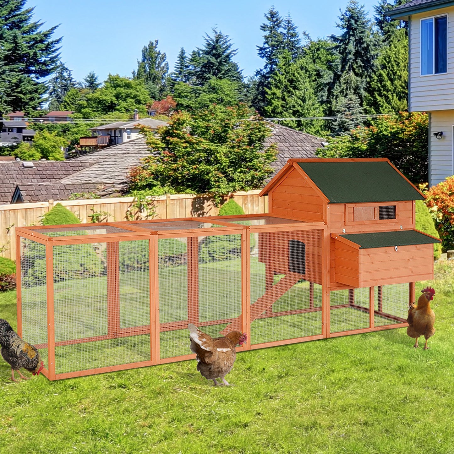 Chicken Coop