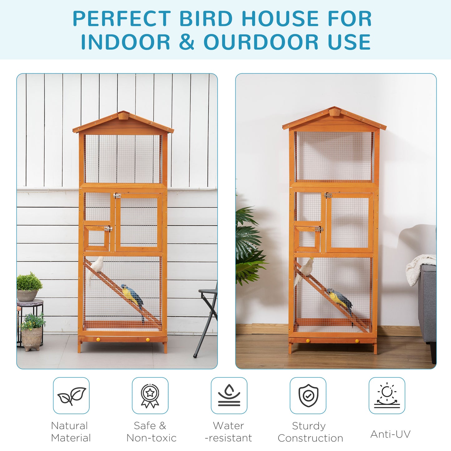 Bird Cage