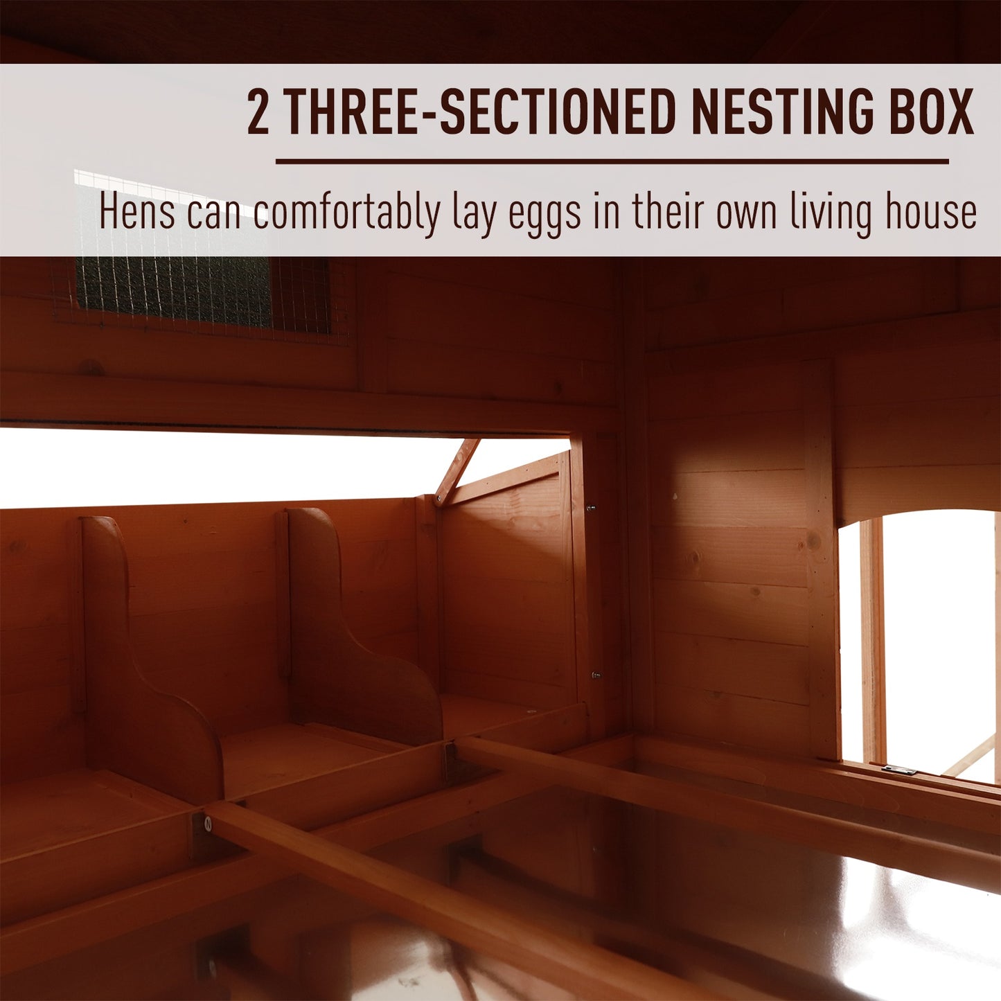 Chicken Coop