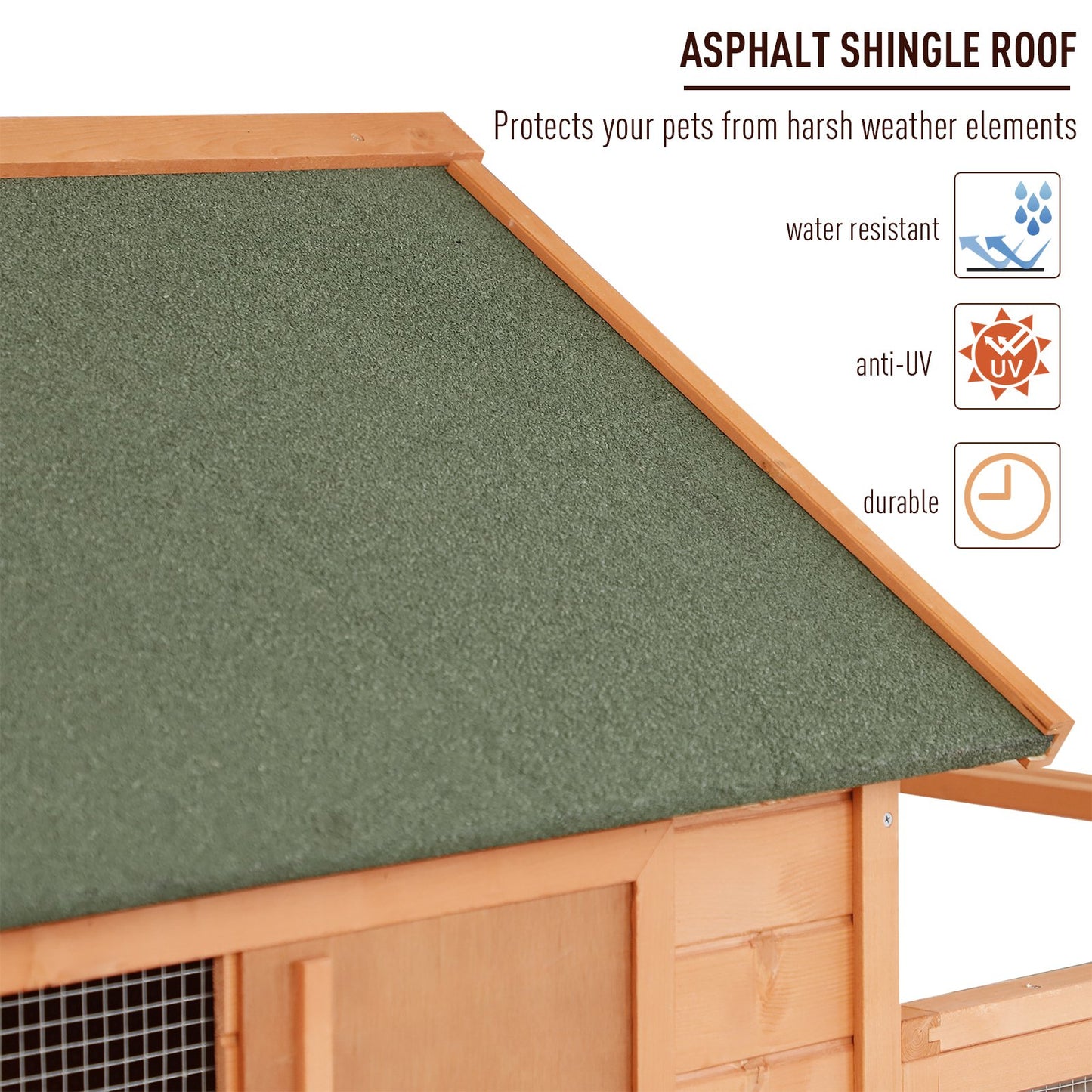 Chicken Coop