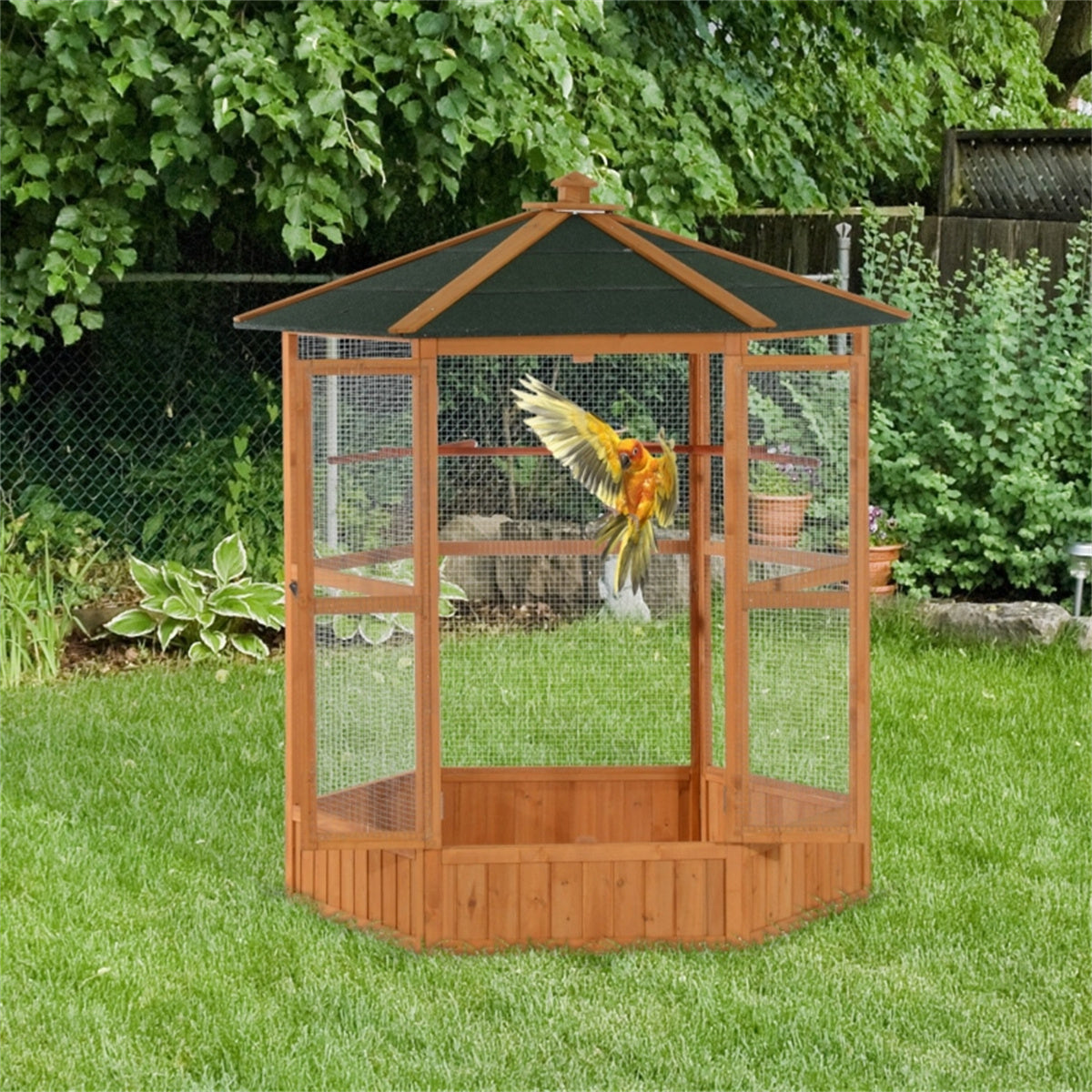 Bird Cage
